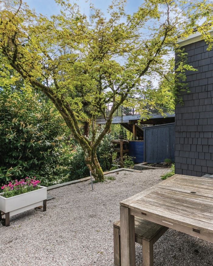 Madrona Colonial Patio